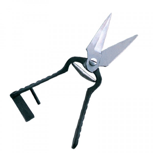 Scissors  Shears